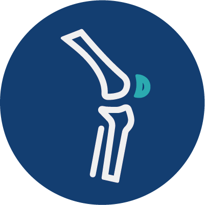 Musculoskeletal theme icon
